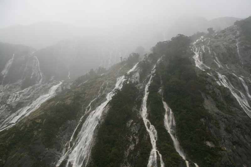 Nieuw-Zeeland 2011 - 1687